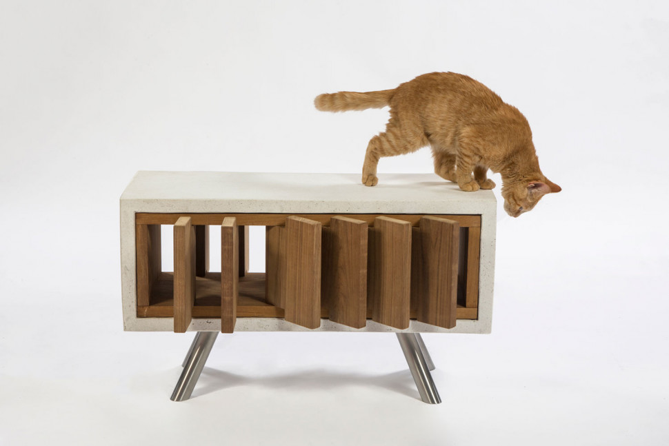 California CatCube by Standard Architecture