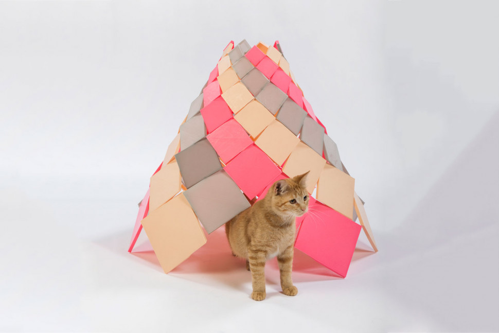 Spiral Kitty Cone by DSH Architecture